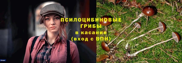 винт Горняк