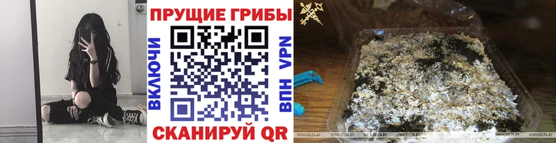 наркошоп  Заинск  Галлюциногенные грибы мухоморы 